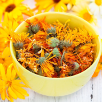 Dried Calendula Flower3