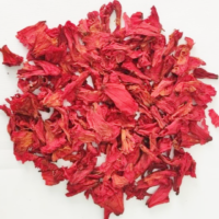 Dried Rhododendron Flower1