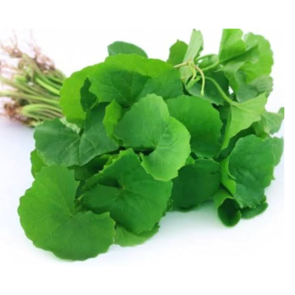 Second image of Vallarai - Raw Herbs