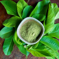 TBC - guava leaves2