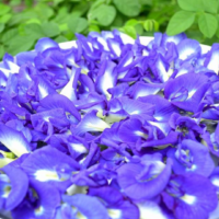dried Butterfly Pea petals3