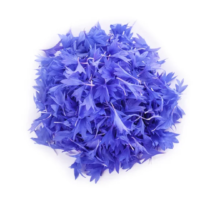 dried blue corn flowers2
