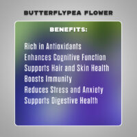 dried butterfly pea4