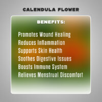 dried calendula flower4