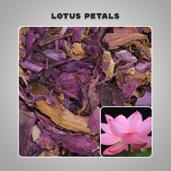 Dried Lotus Petals