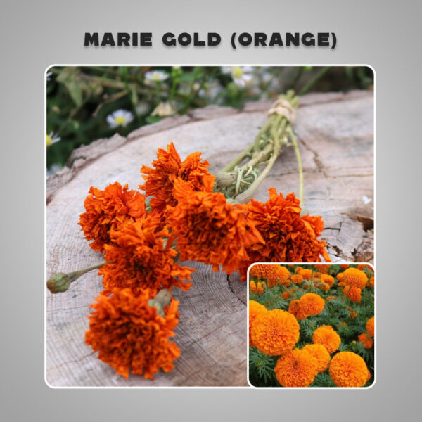Dried Marigold – Orange (without seed) Petals