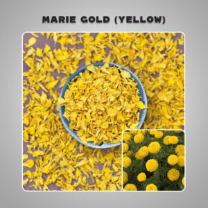 Dried Marigold – Yellow (without seed) Petals