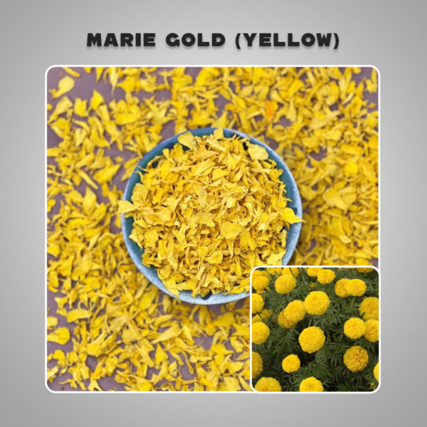 Dried Marigold – Yellow (without seed) Petals