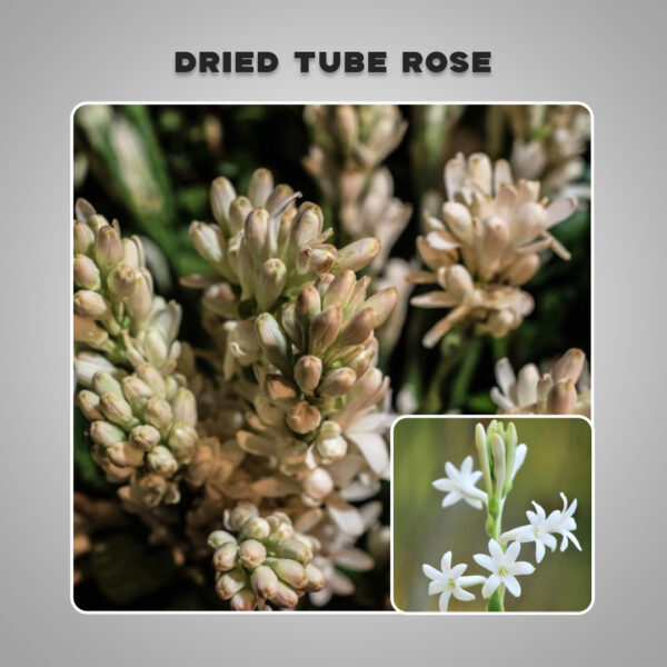 Dried TubeRose