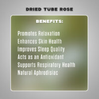 dried tube rose4