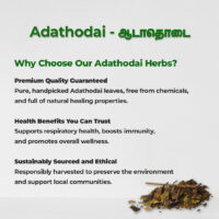 raw herbs - aadathodai2