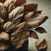 raw herbs - aadathodai3