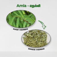 raw herbs - amla1