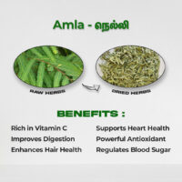 raw herbs - amla2