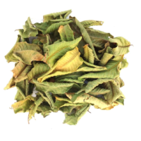 raw herbs - guavaleaves