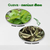raw herbs - guavaleaves1