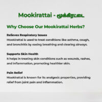 raw herbs - mookirattai2