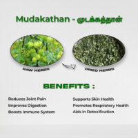 raw herbs - mudakathan1