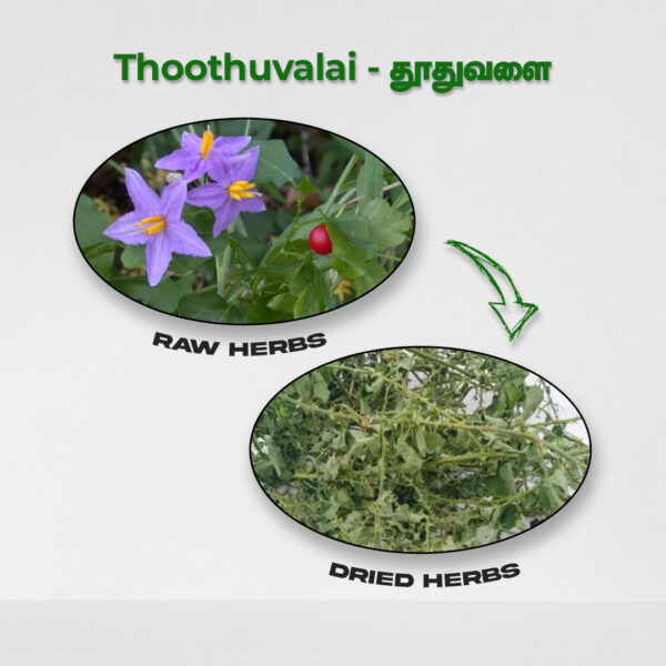 Thoothuvalai - Raw Herbs
