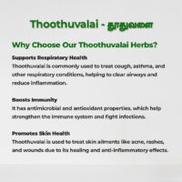raw herbs - thoothuvalai5