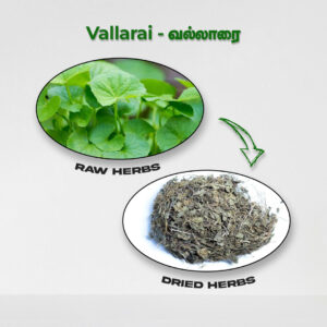 Vallarai - Raw Herbs