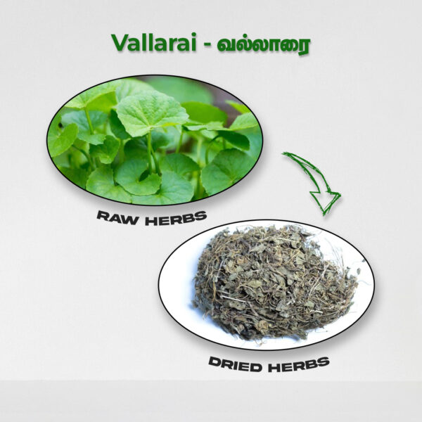 Vallarai - Raw Herbs