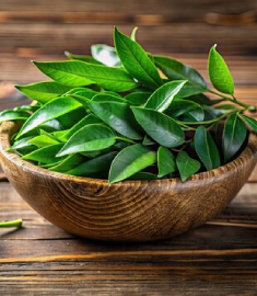 Curry Leaves