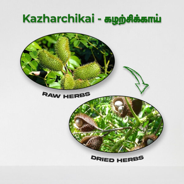 Kazharchikai - Raw Herbs