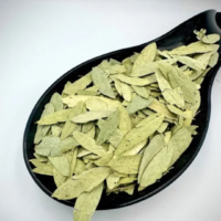 raw herbs - Sirukurinchan1