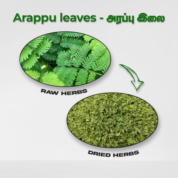 Arappu Leaves - Raw Herbs