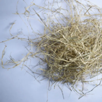raw herbs - arukampul1