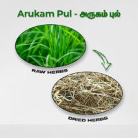 raw herbs - arukampul2