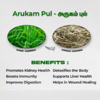 raw herbs - arukampul3