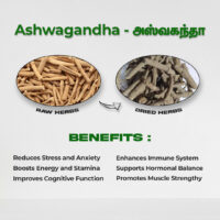 raw herbs - ashwagandha1