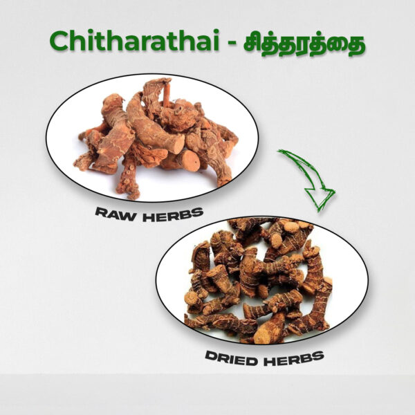 Chitharathai Root - Raw Herbs