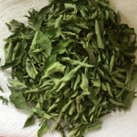 raw herbs - curryleaves1