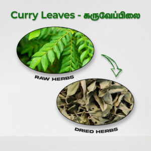 Curry Leaves - Raw Herbs