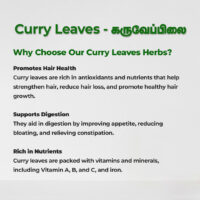 raw herbs - curryleaves4