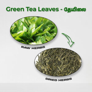 Green Tea Leaves - Raw Herbs