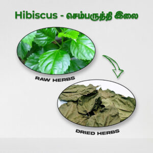 Hibiscus Leaves - Raw Herbs