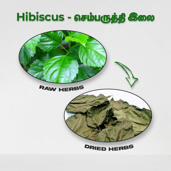 Hibiscus Leaves - Raw Herbs