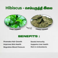 raw herbs - hibiscus1