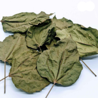 raw herbs - hibiscus4