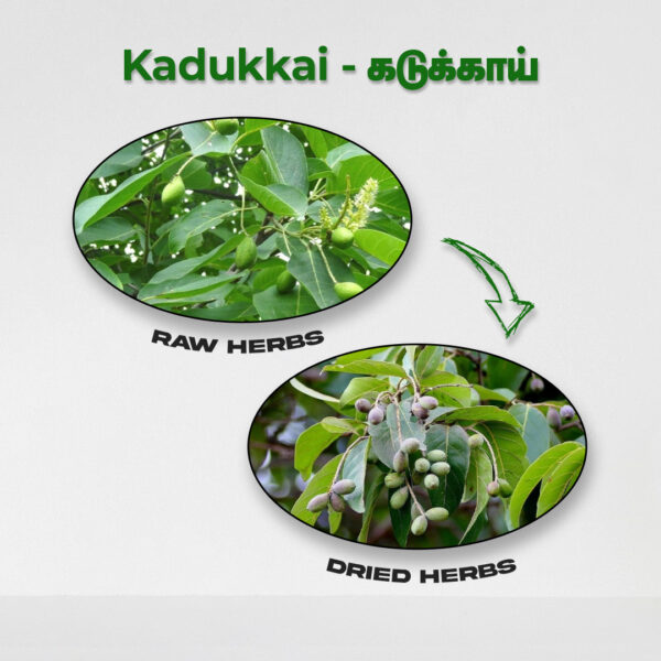 Kadukkai - Raw Herbs