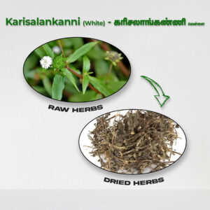 Karisalankanni (White) - Raw Herbs