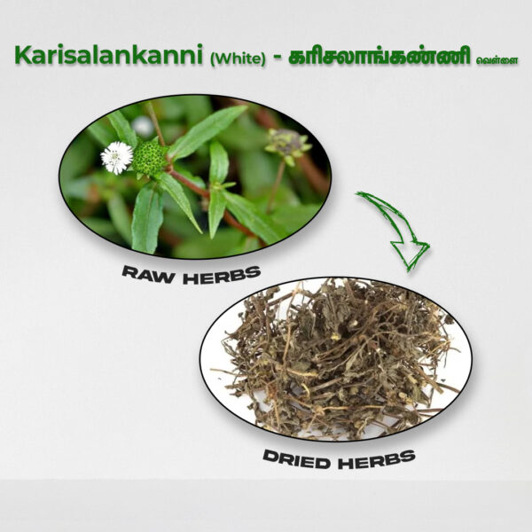 Karisalankanni (White) - Raw Herbs