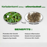raw herbs - karisalanganni white1