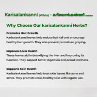 raw herbs - karisalanganni white2