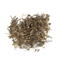 raw herbs - karisalanganni white3
