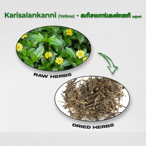 Karisalankanni (Yellow) - Raw Herbs
